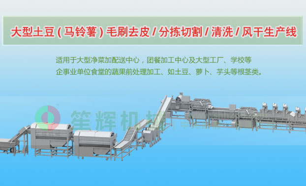 绿园连续式土豆去皮清洗切割风干生产线